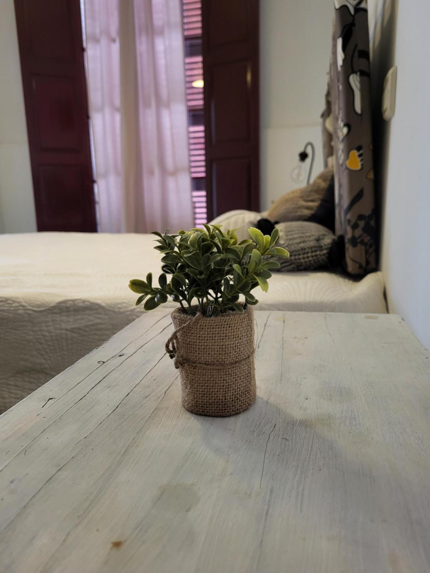 El Patio De Iria Holiday home *